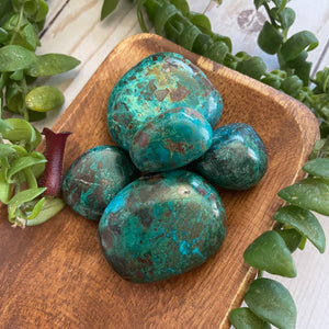 Chrysocolla, Healing crystal tumble and palm stone